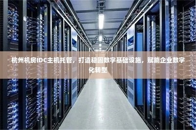 杭州IDC主機托管 構(gòu)建穩(wěn)固數(shù)字基石，引領(lǐng)企業(yè)數(shù)字化轉(zhuǎn)型